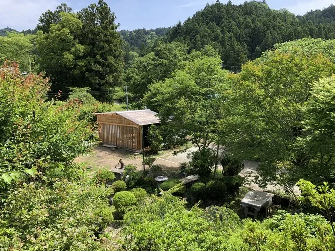 FOREST SOUND CAMP