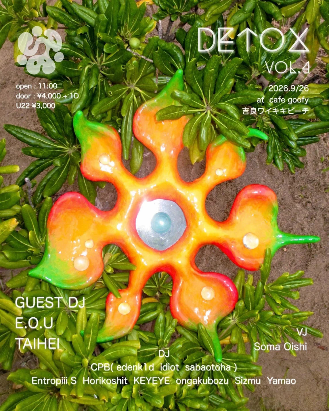 DETOX Flyer
